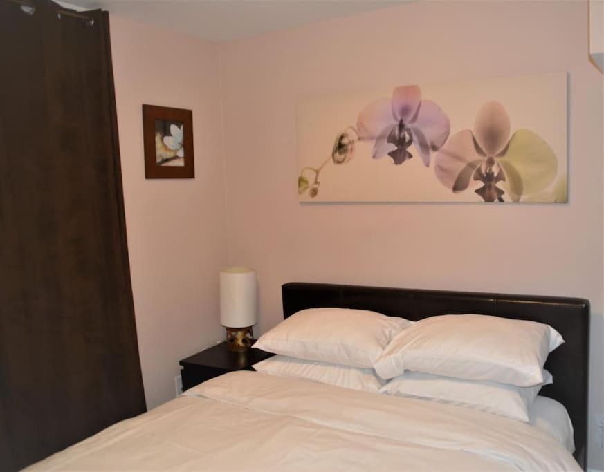 Beautiful And Spacious Basement Apartment Brampton Buitenkant foto